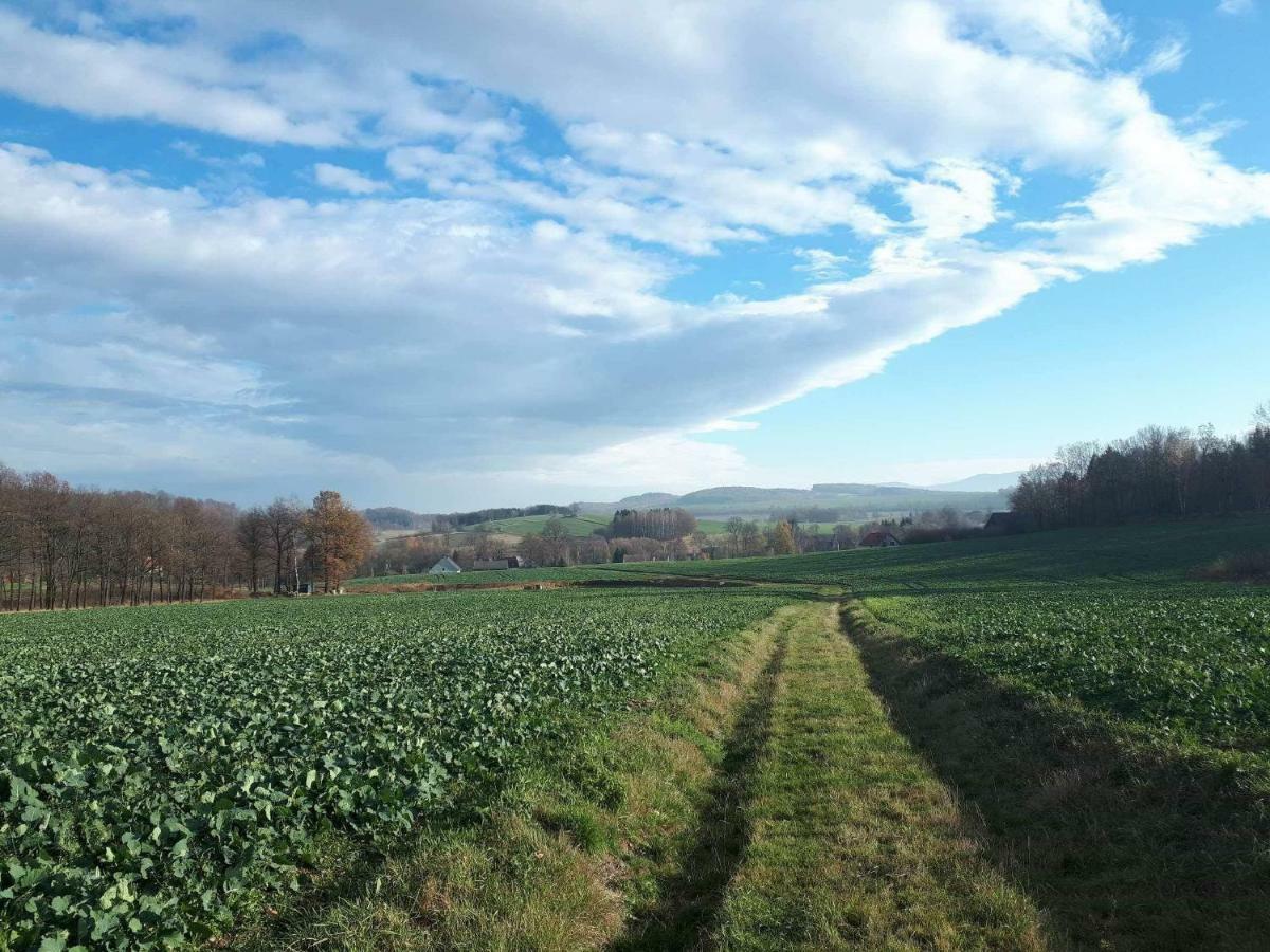 Agroturystyka U Swiatkow Stara Kamienica Exteriér fotografie