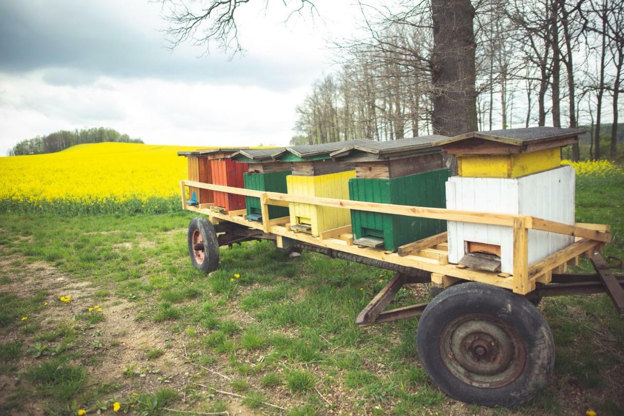 Agroturystyka U Swiatkow Stara Kamienica Exteriér fotografie